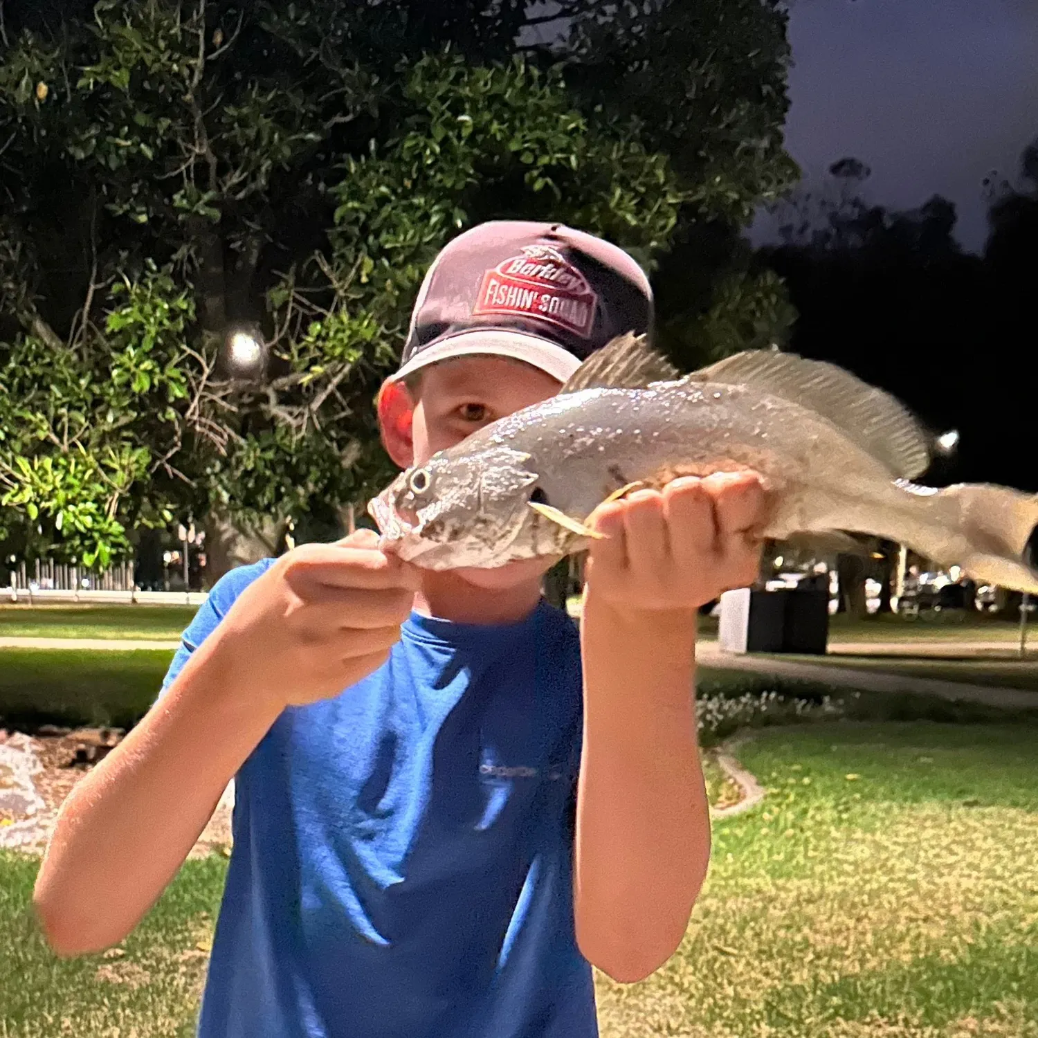 Japanese meagre caught on Fishbrain