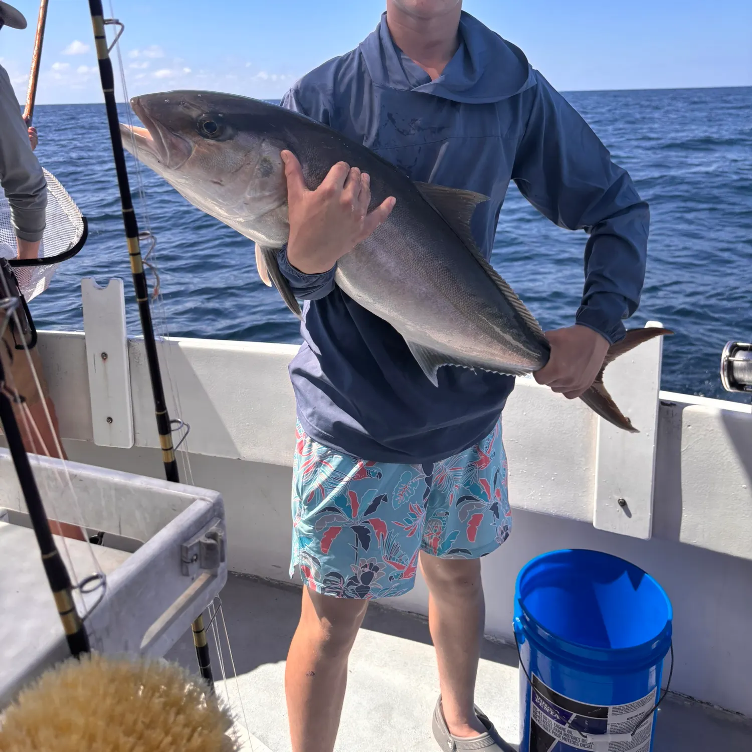 The most recent Greater amberjack catches on Fishbrain