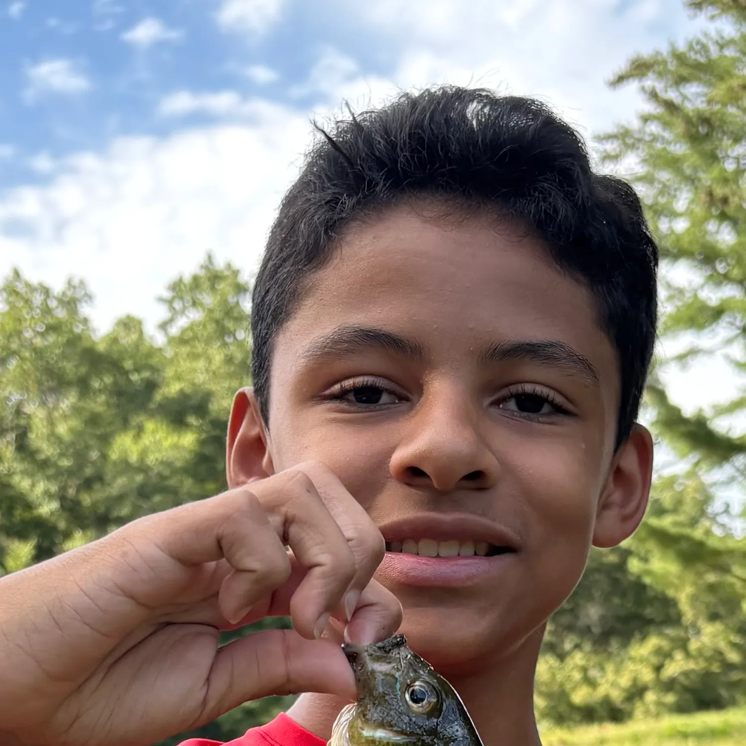 Redbreast sunfish caught on Fishbrain