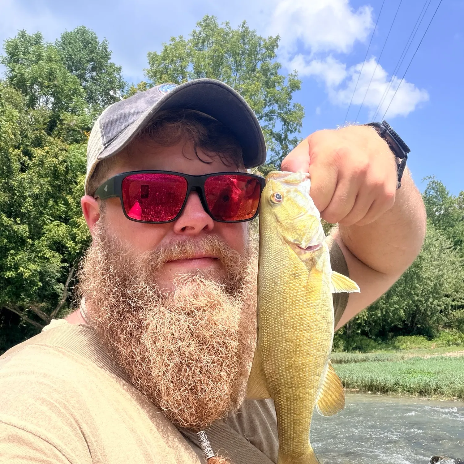 Smallmouth bass caught on Fishbrain