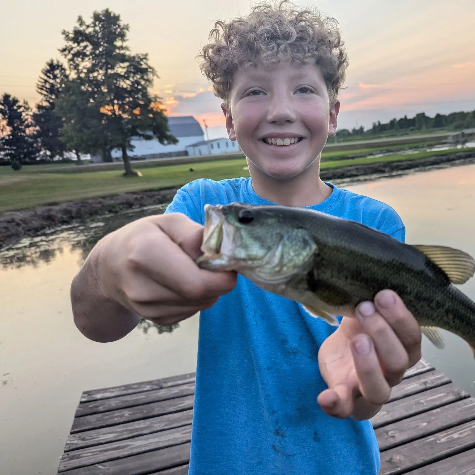 The most recent Largemouth bass catches on Fishbrain