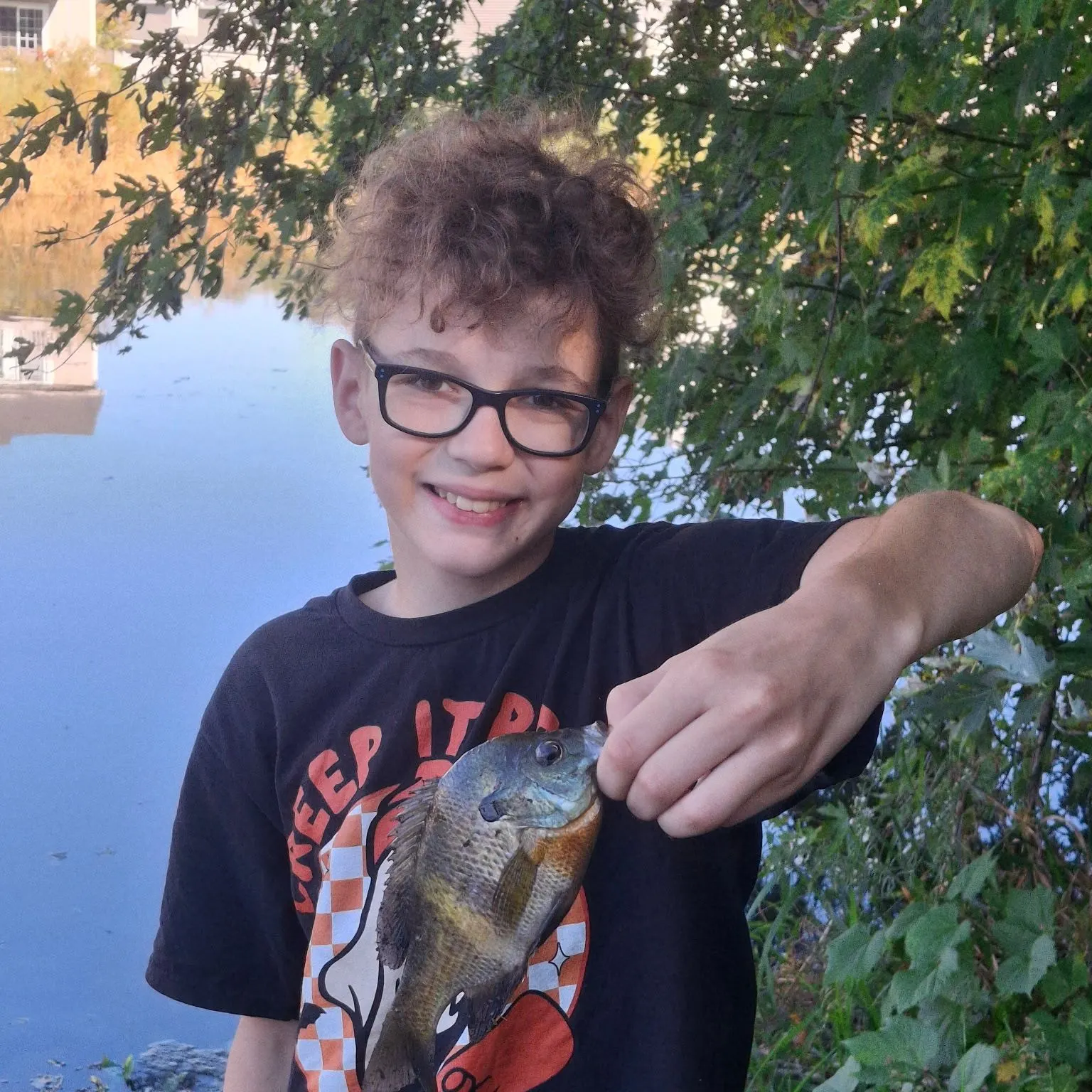 Bluegill caught on Fishbrain