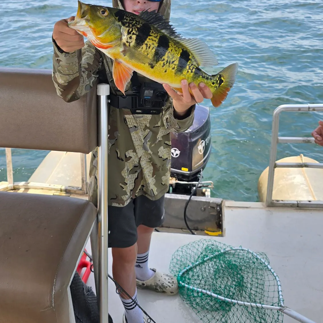 Butterfly peacock bass caught on Fishbrain
