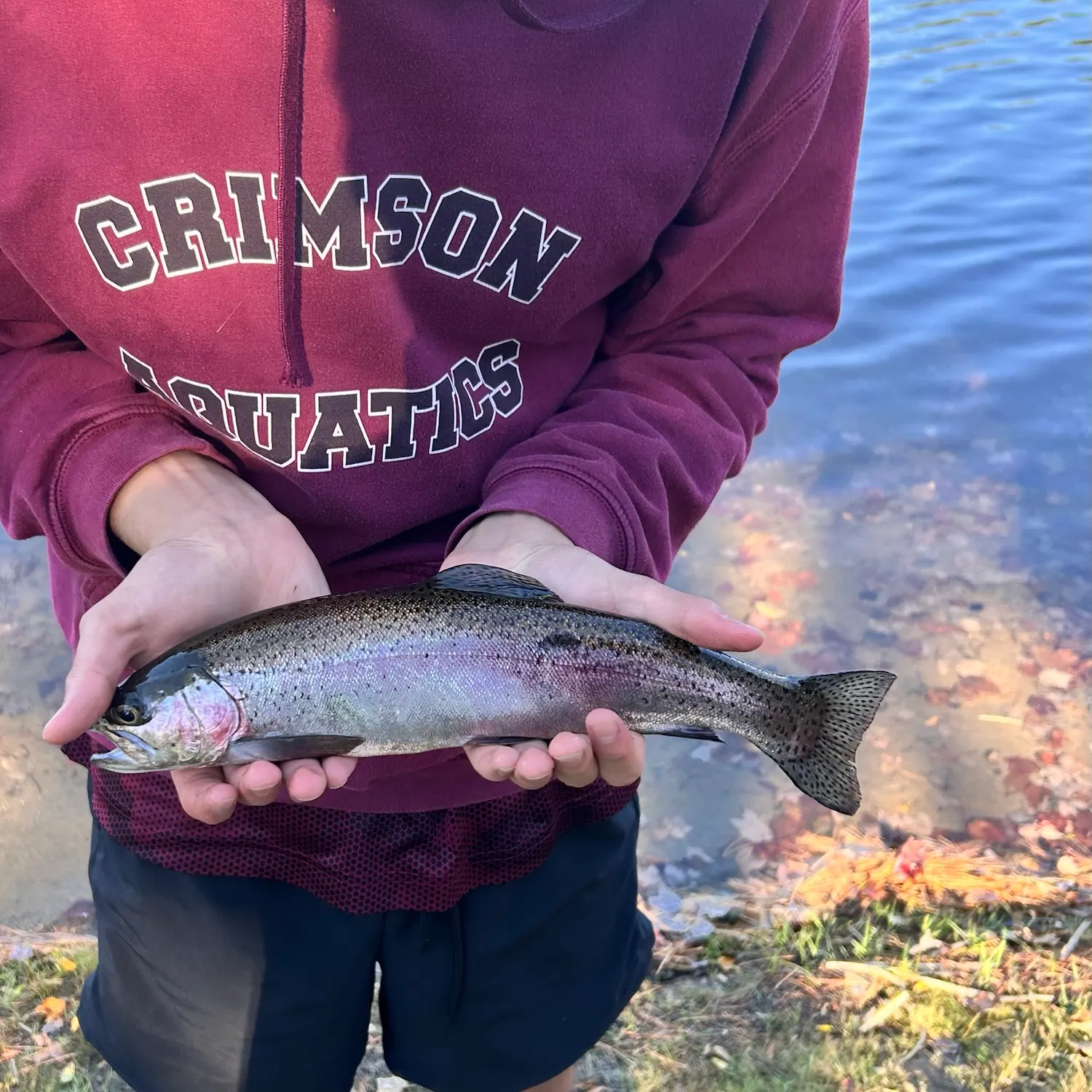 Rainbow trout caught on Fishbrain
