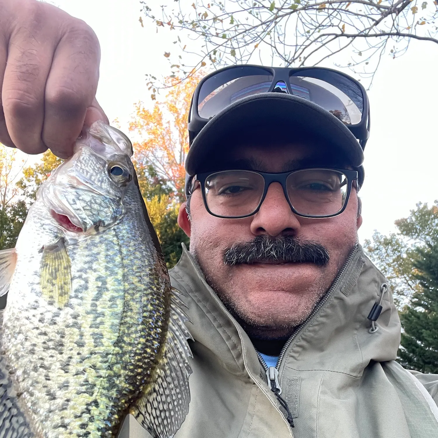 Black crappie caught on Fishbrain