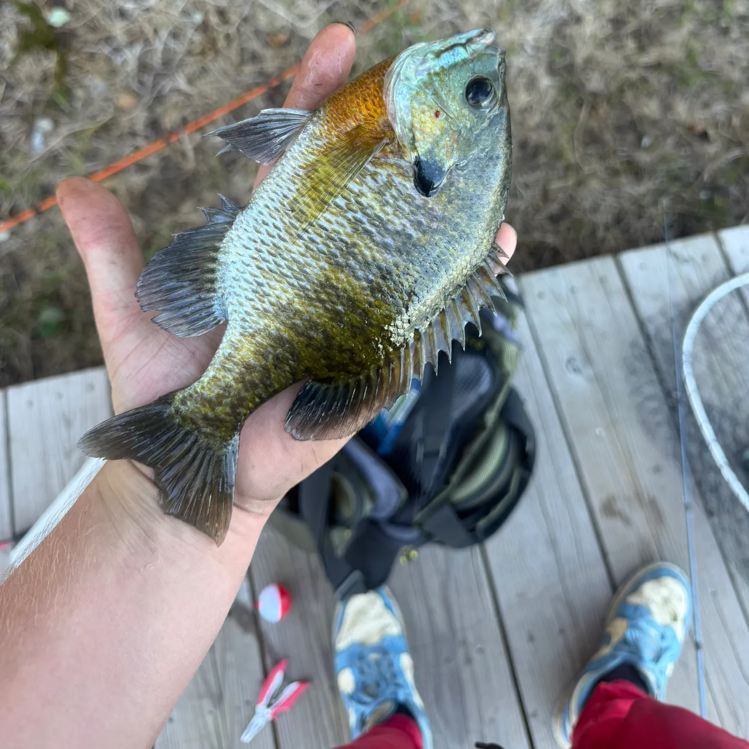 catch