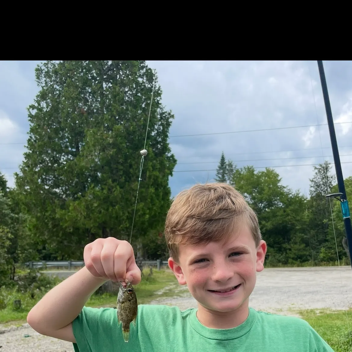 Rock bass caught on Fishbrain