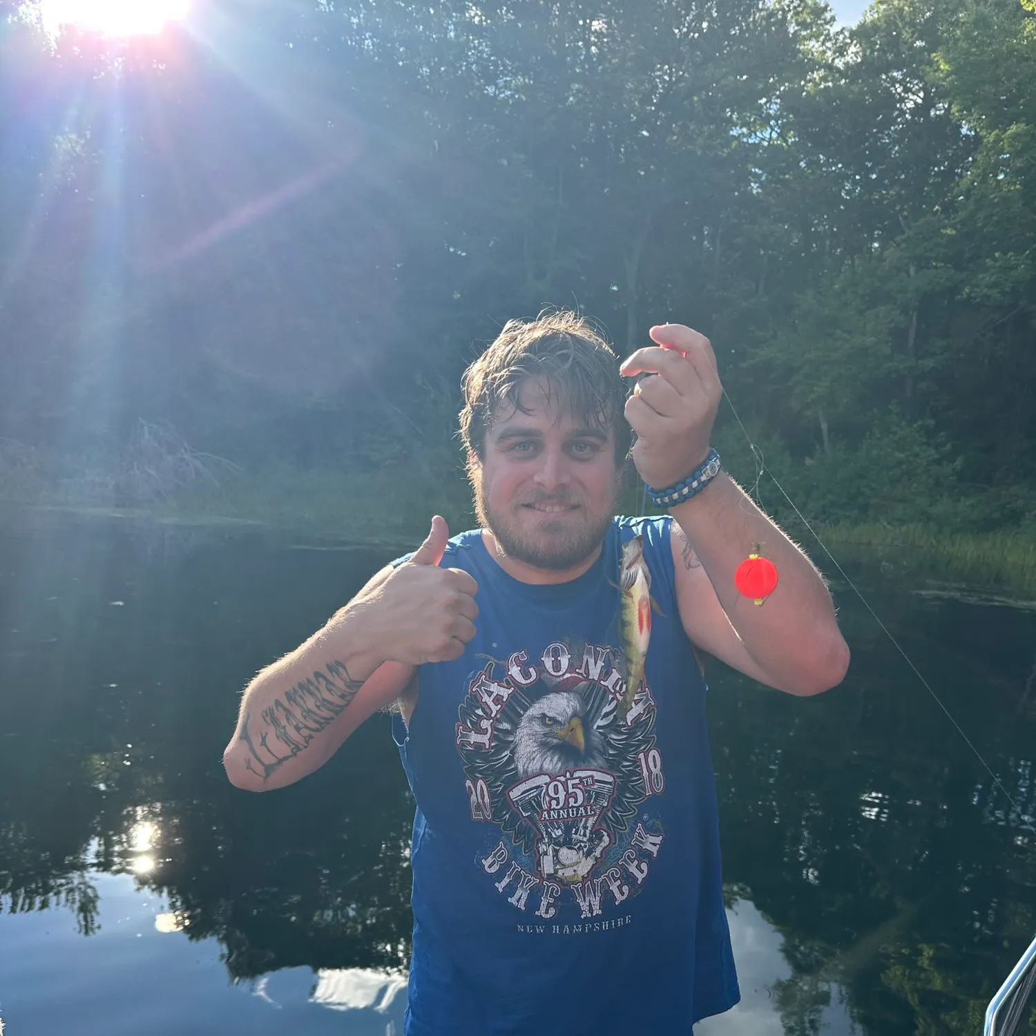 Yellow perch caught on Fishbrain