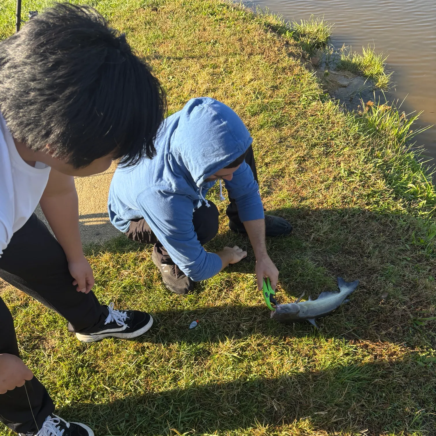 Channel catfish caught on Fishbrain