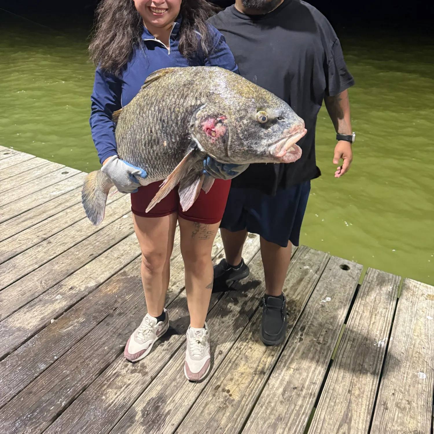 Black drum caught on Fishbrain
