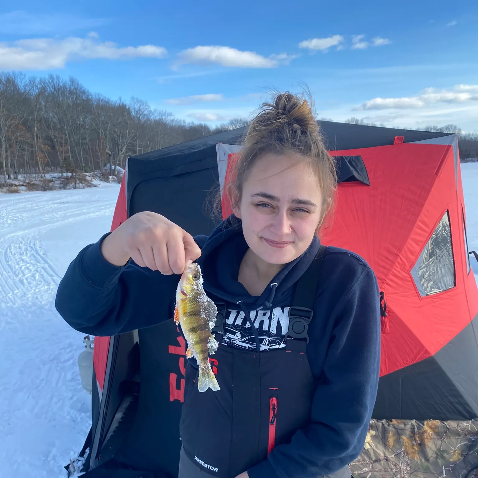 The most recent Yellow perch catches on Fishbrain