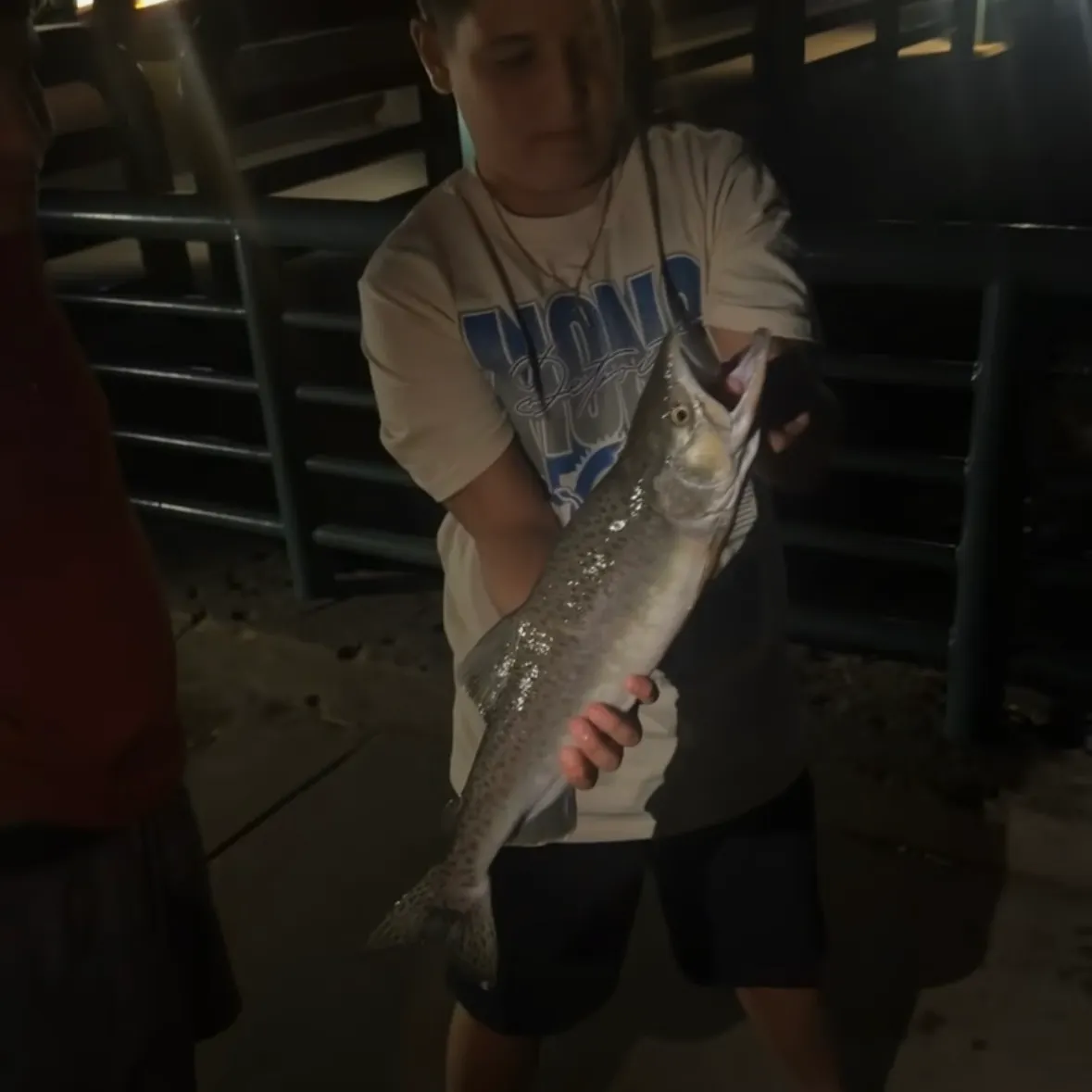 Pink salmon caught on Fishbrain