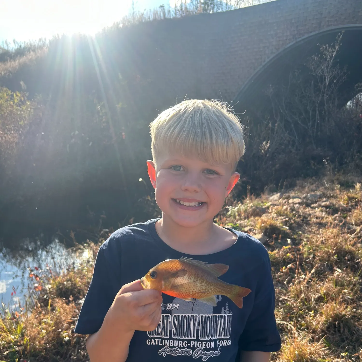 The most recent Redbreast sunfish catches on Fishbrain