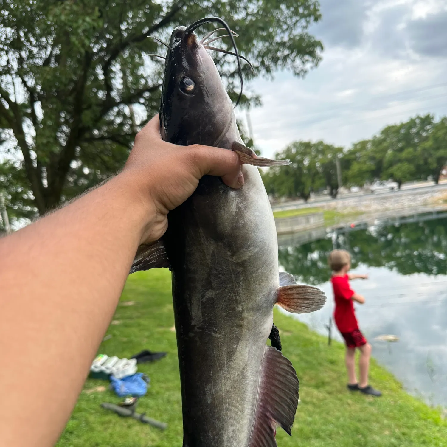 catch