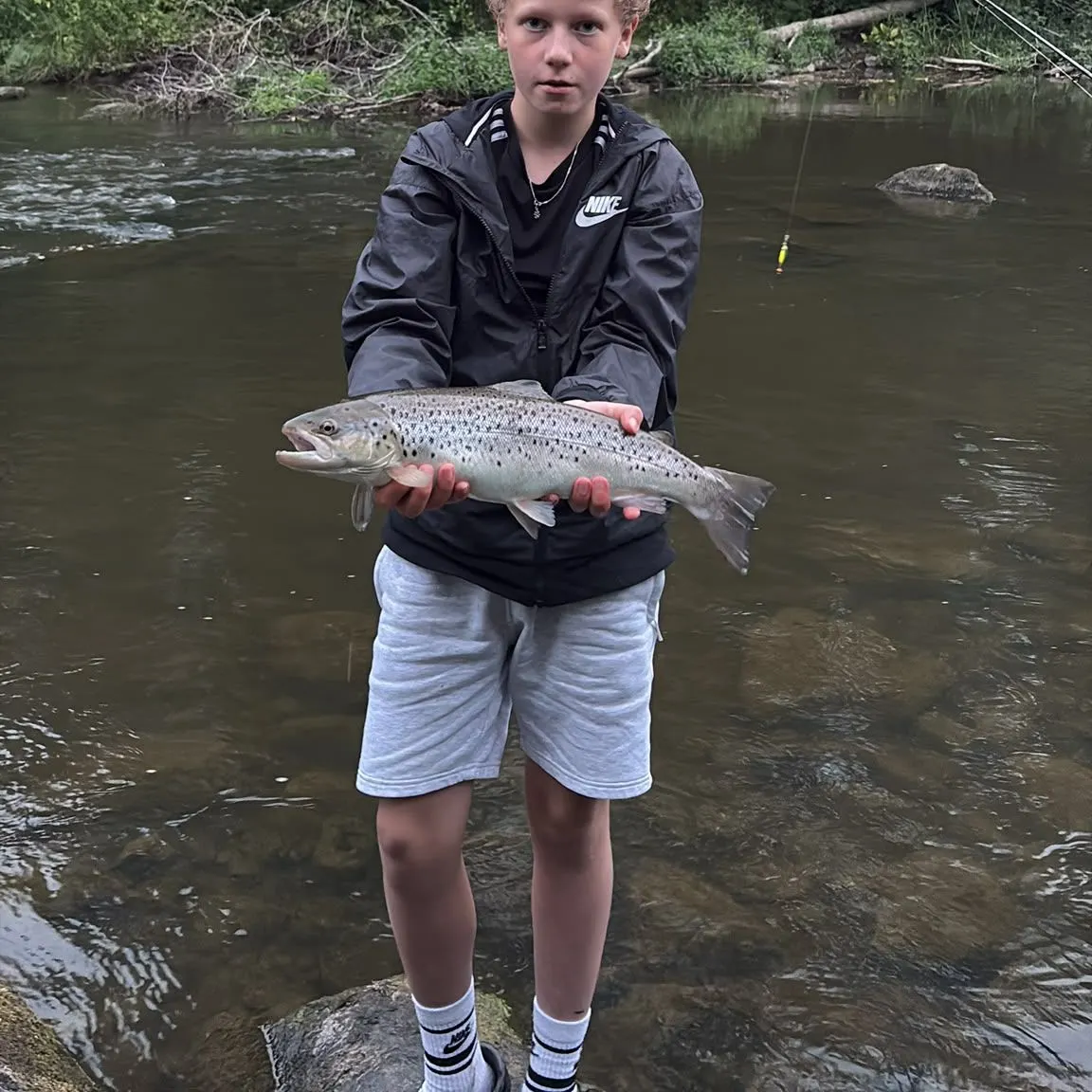 The most recent Sea trout catches on Fishbrain