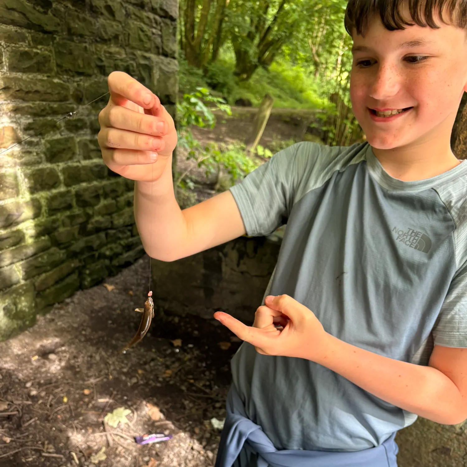 The most recent Bluntnose minnow catches on Fishbrain