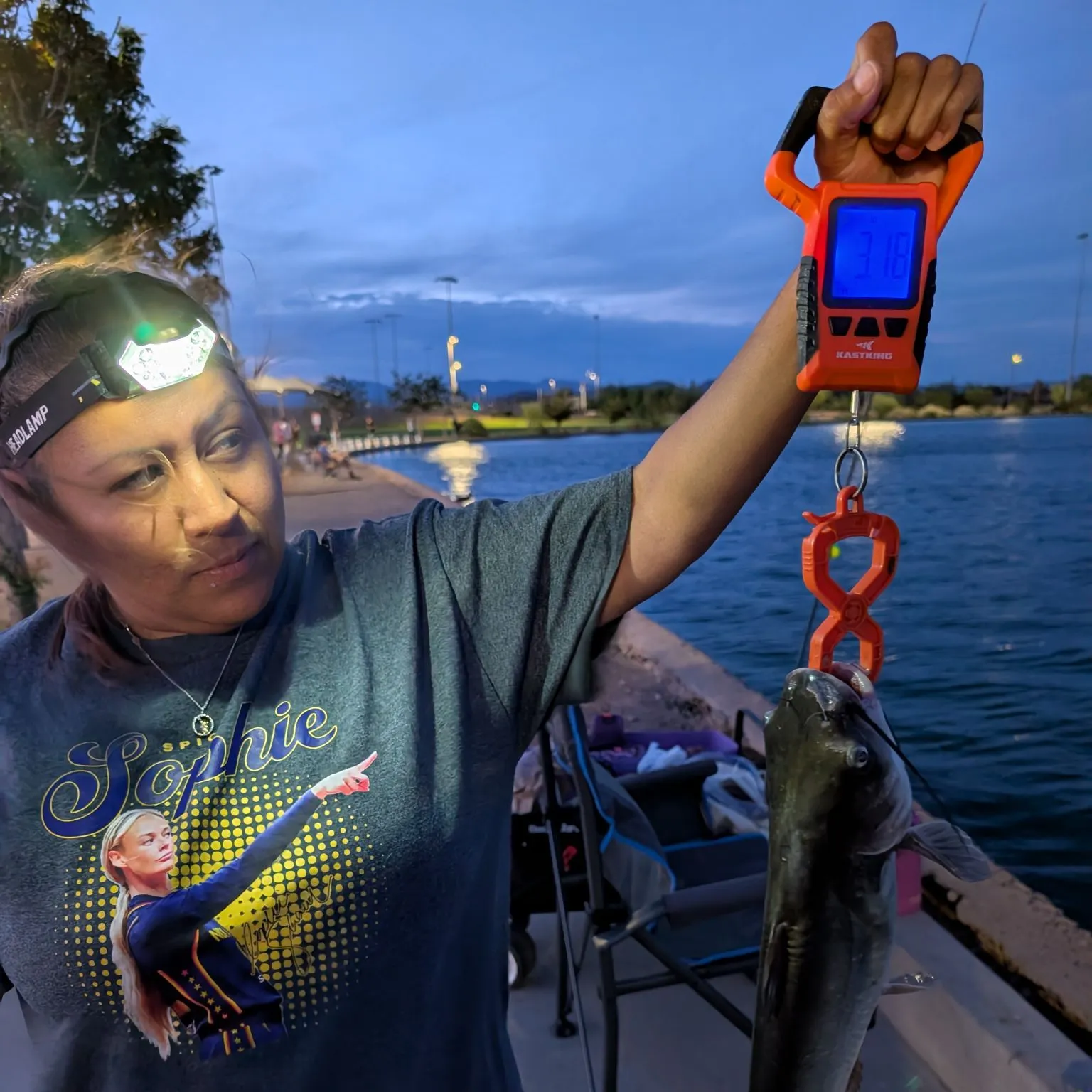 Channel catfish caught on Fishbrain
