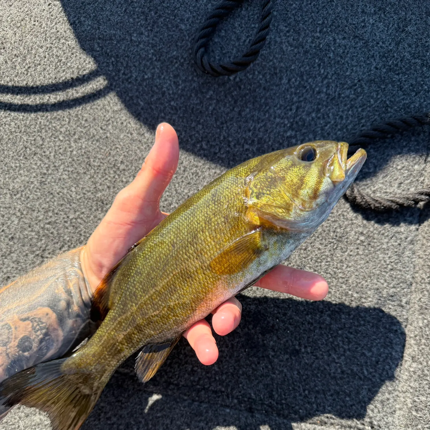 catch