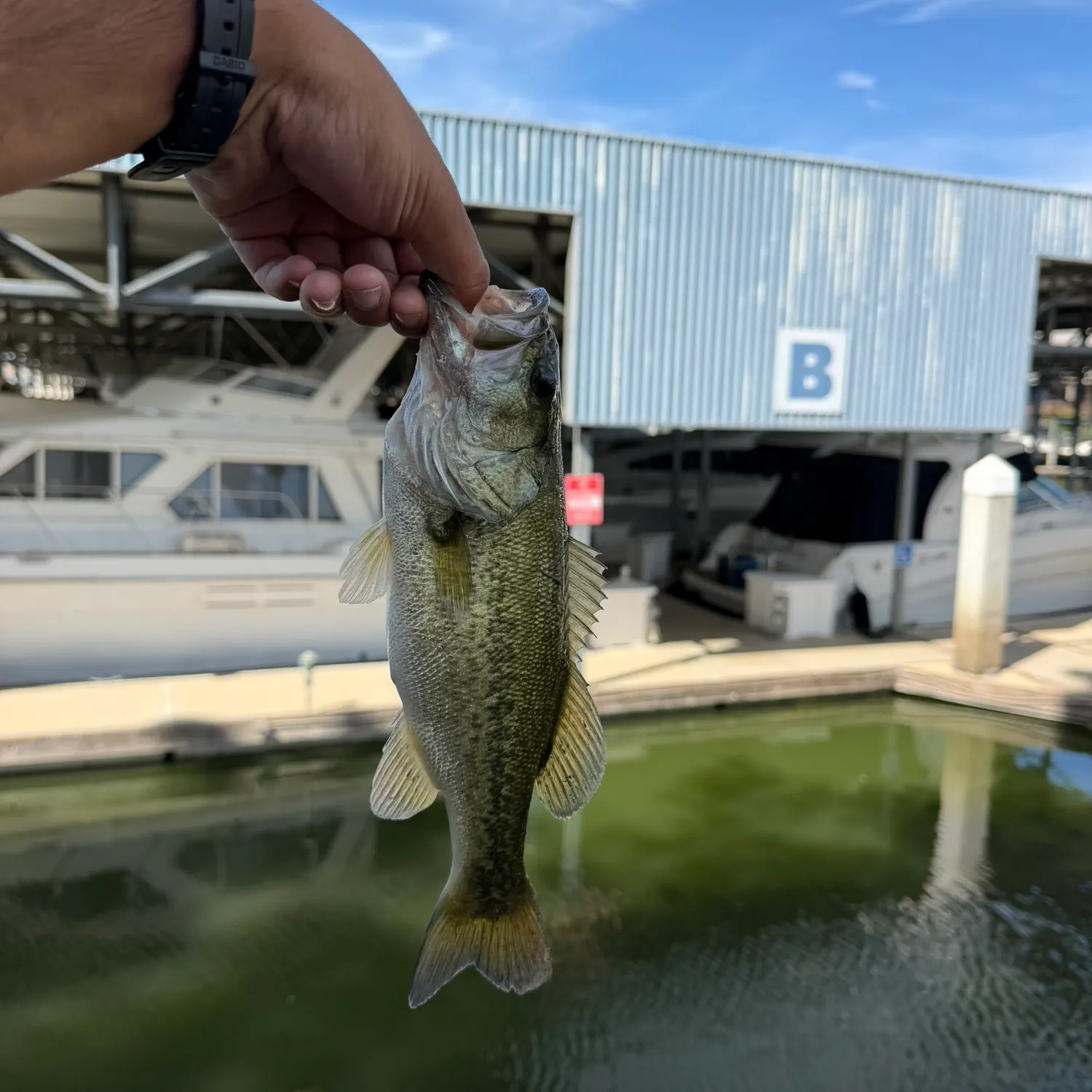 catch