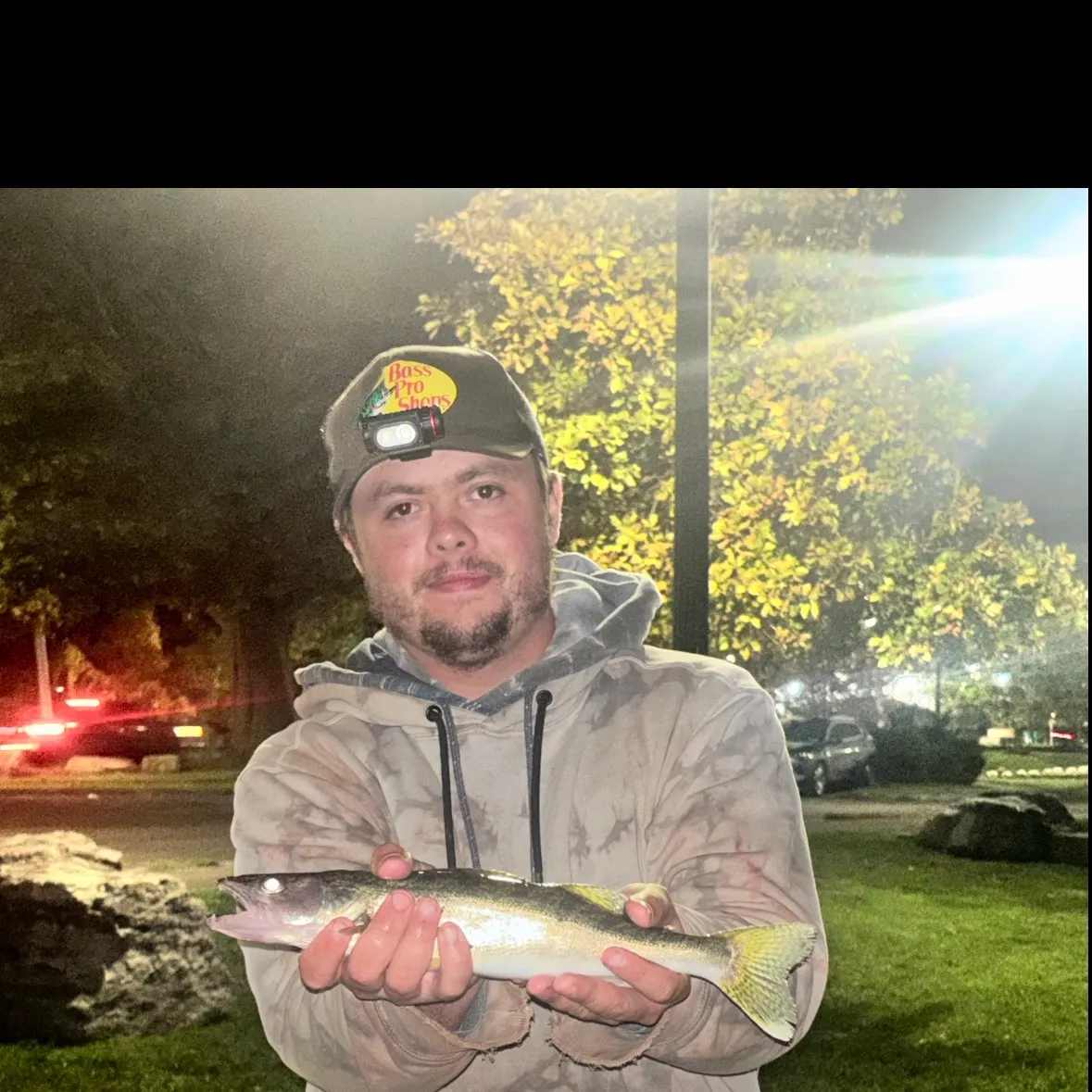 Walleye caught on Fishbrain