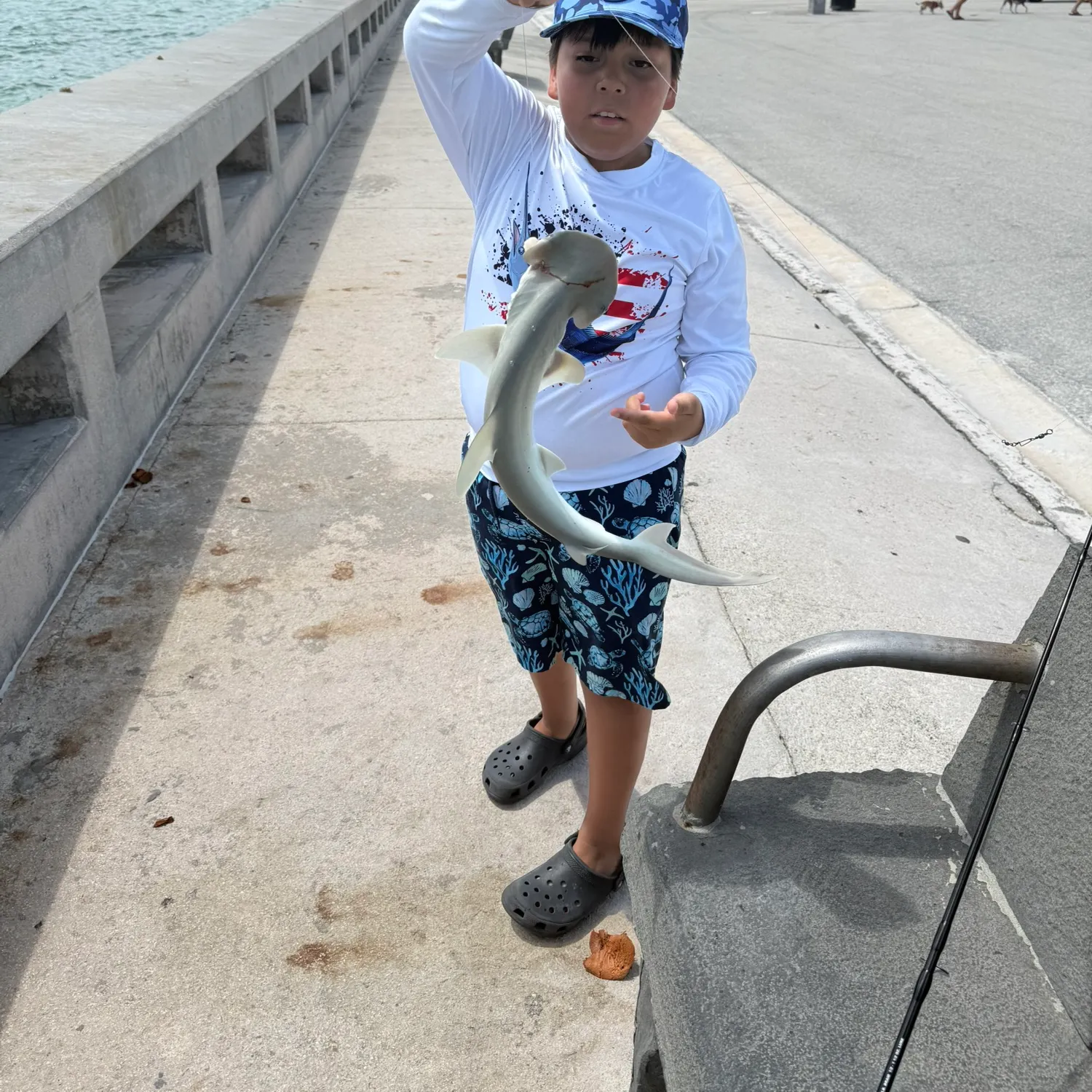 The most recent Bonnethead shark catches on Fishbrain