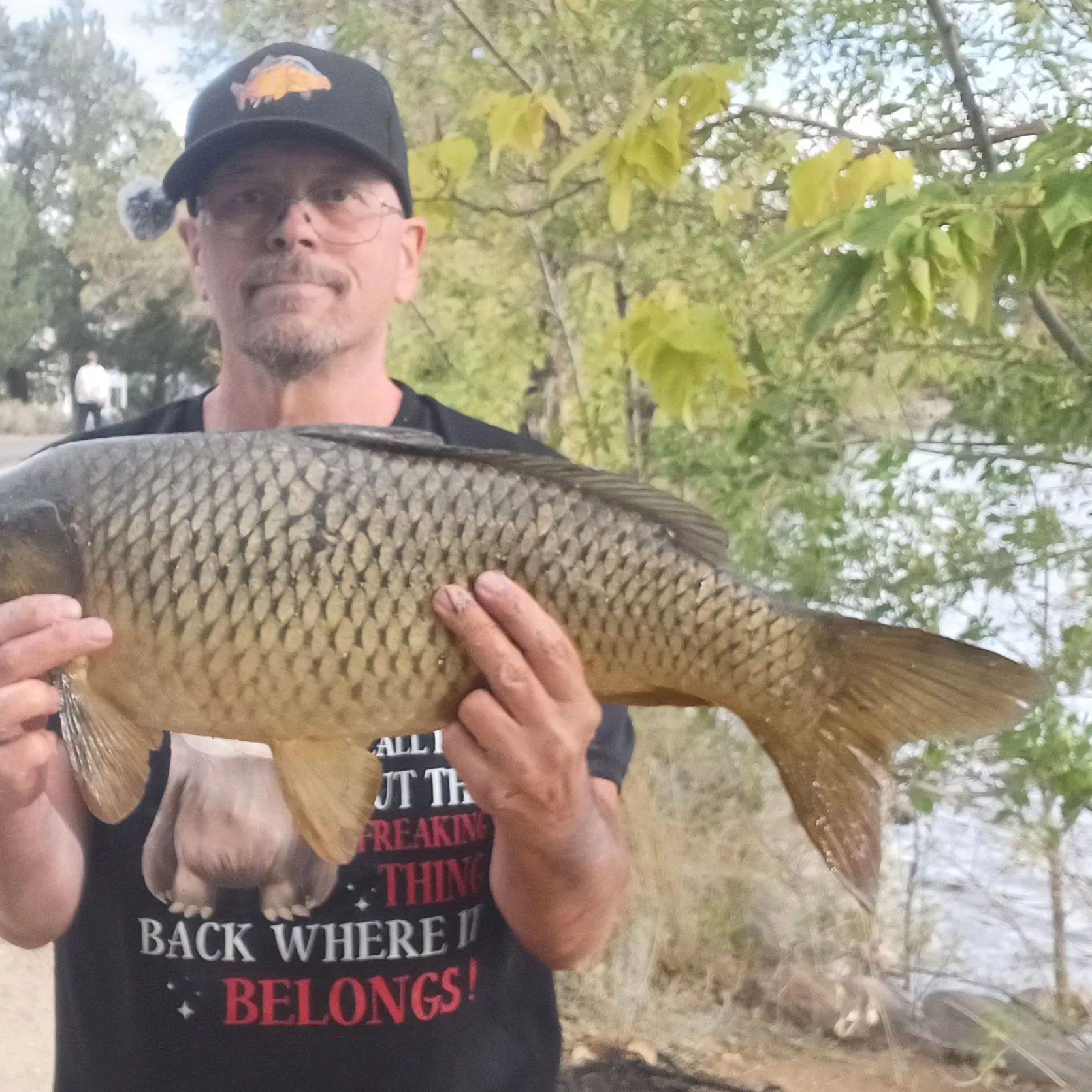 Common carp caught on Fishbrain