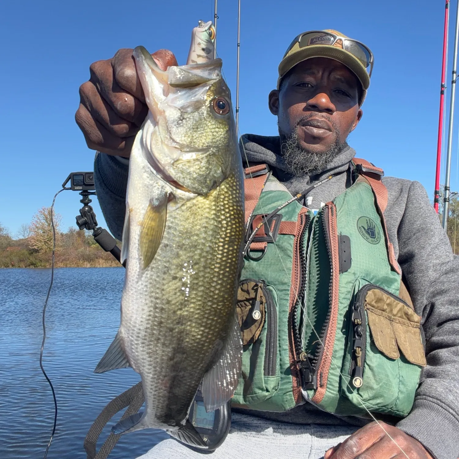 Largemouth bass caught on Fishbrain