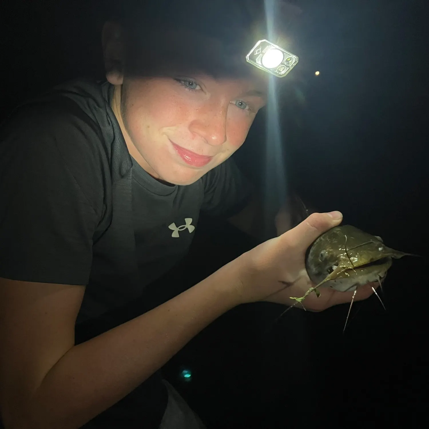Black bullhead caught on Fishbrain