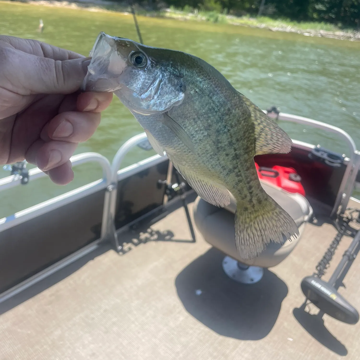 best saltwater fly fishing rod The Best Value Saltwater Fly Rods of 2025