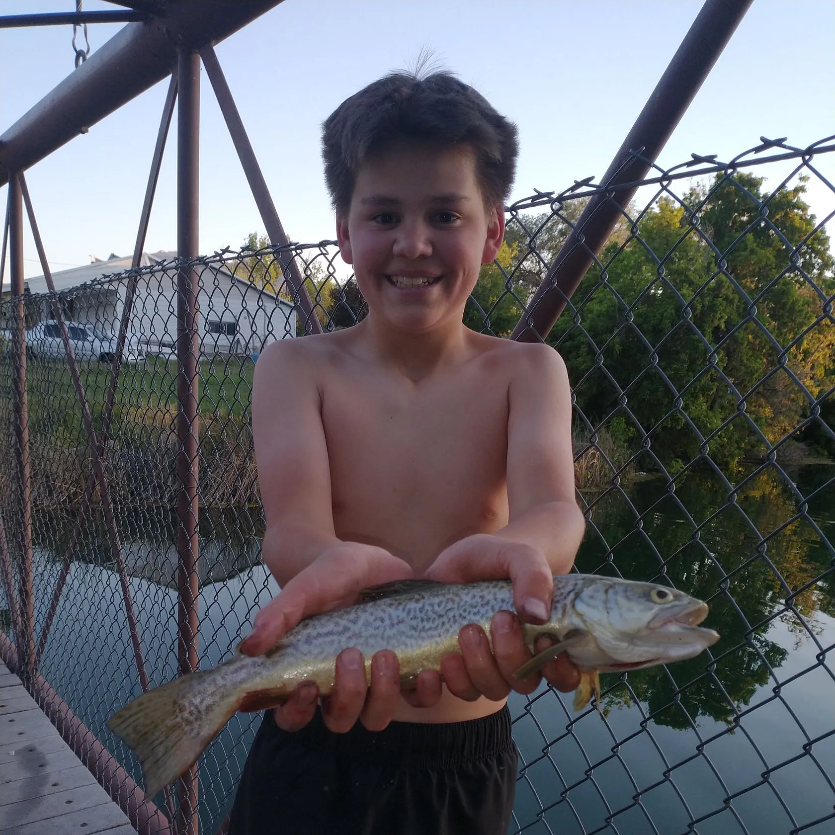 The most recent Tiger trout catches on Fishbrain