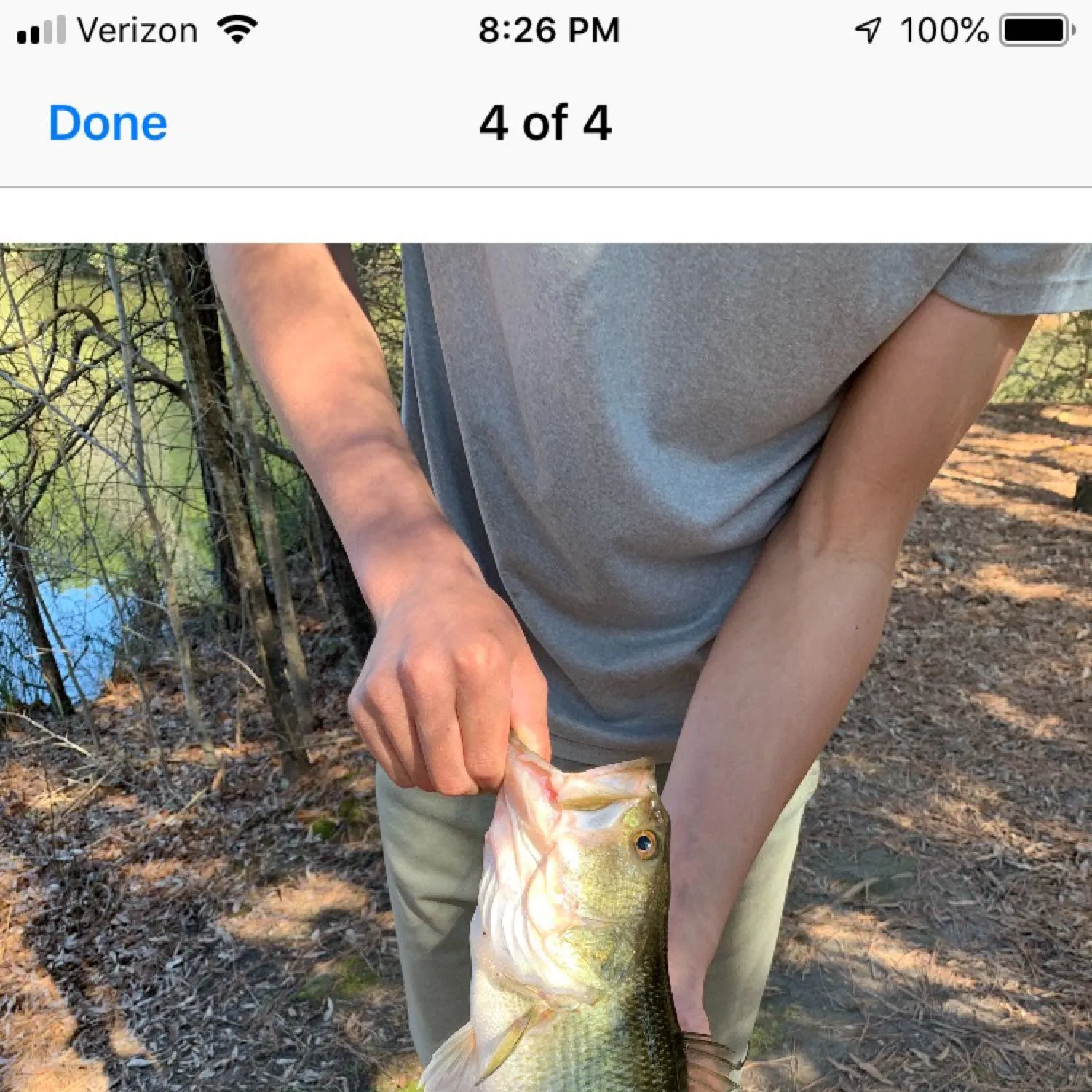 recently logged catches