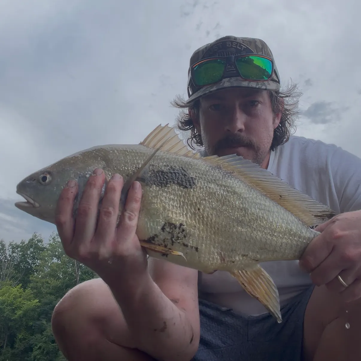 Freshwater drum caught on Fishbrain