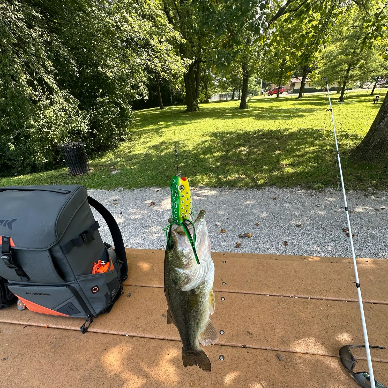 catch
