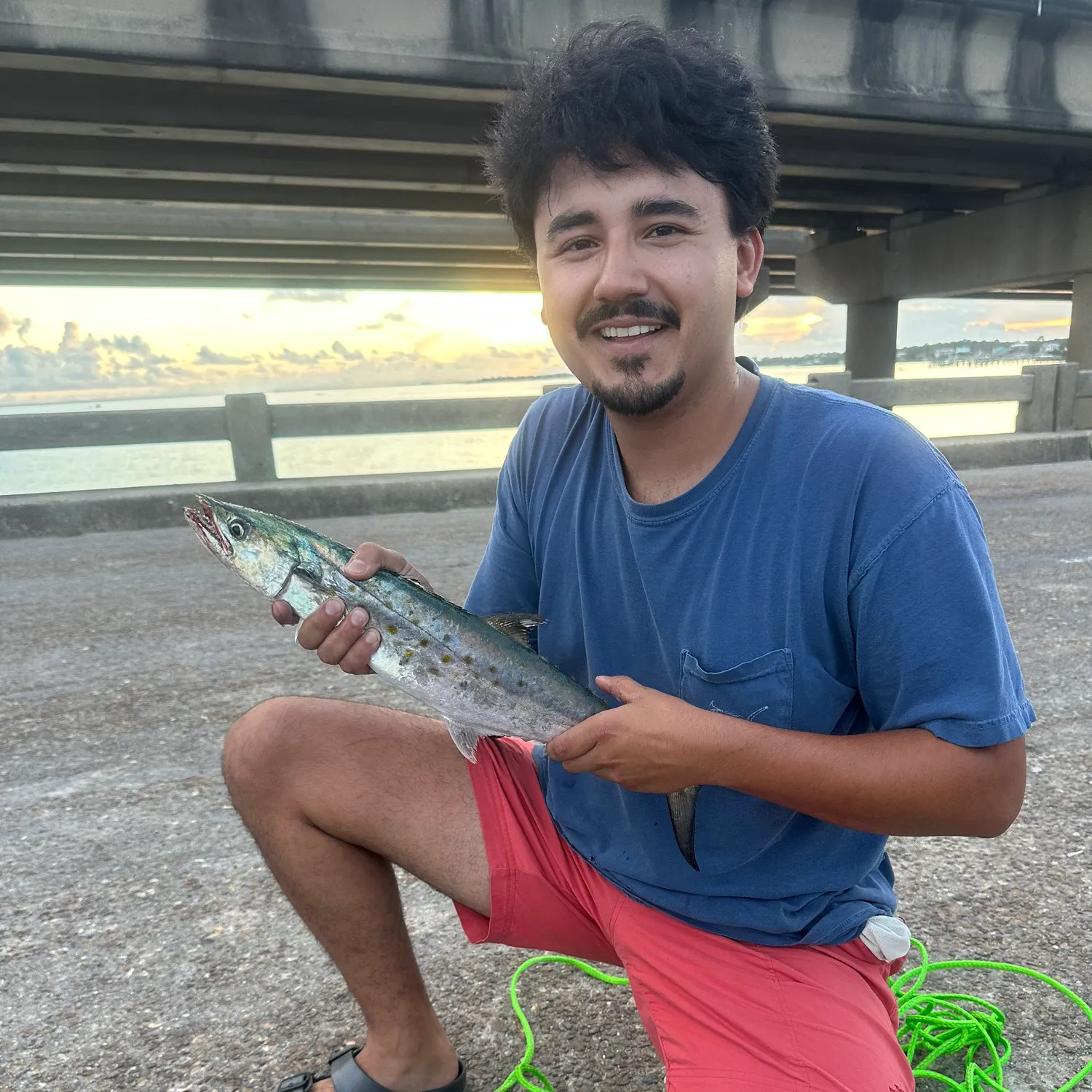 Spanish mackerel caught on Fishbrain