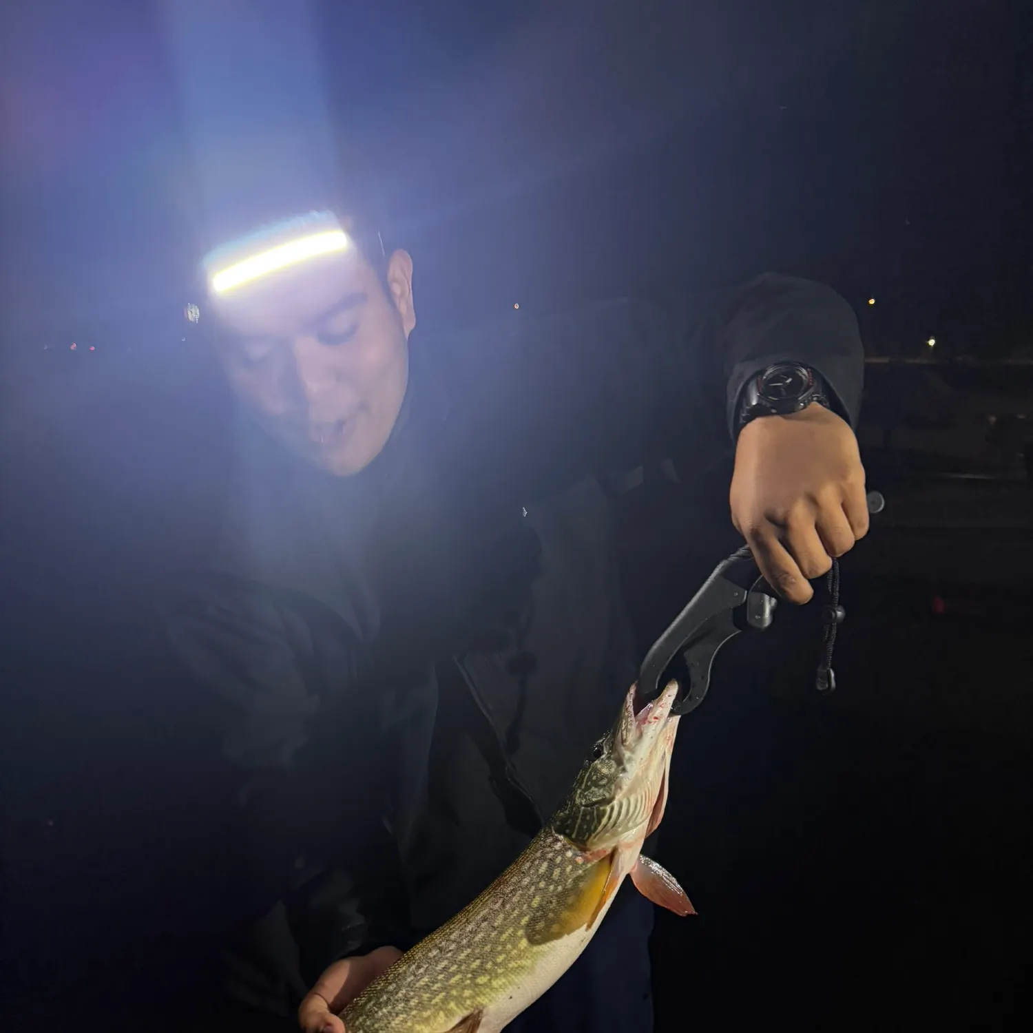 Northern pike caught on Fishbrain