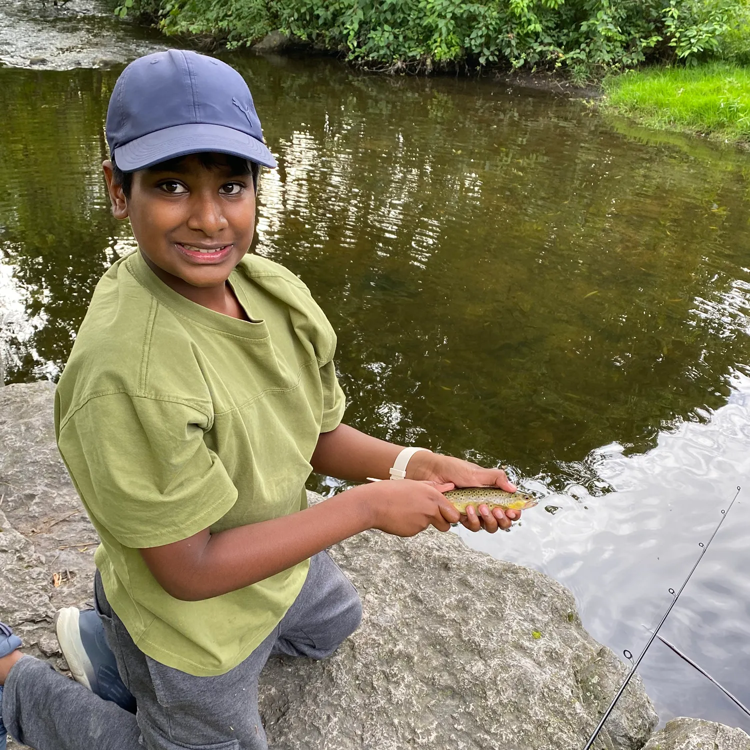 Brown trout caught on Fishbrain