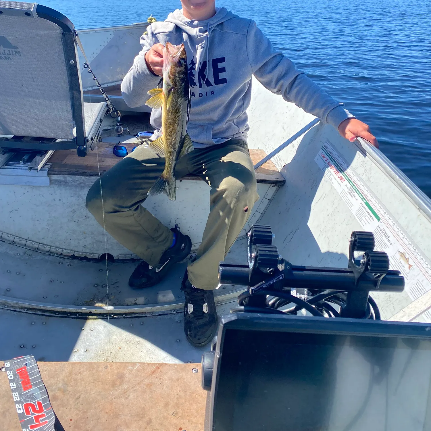 Walleye caught on Fishbrain