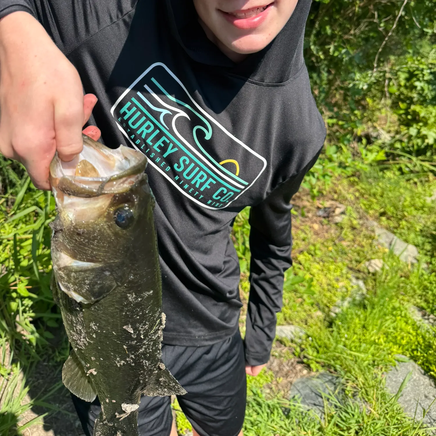 Largemouth bass caught on Fishbrain