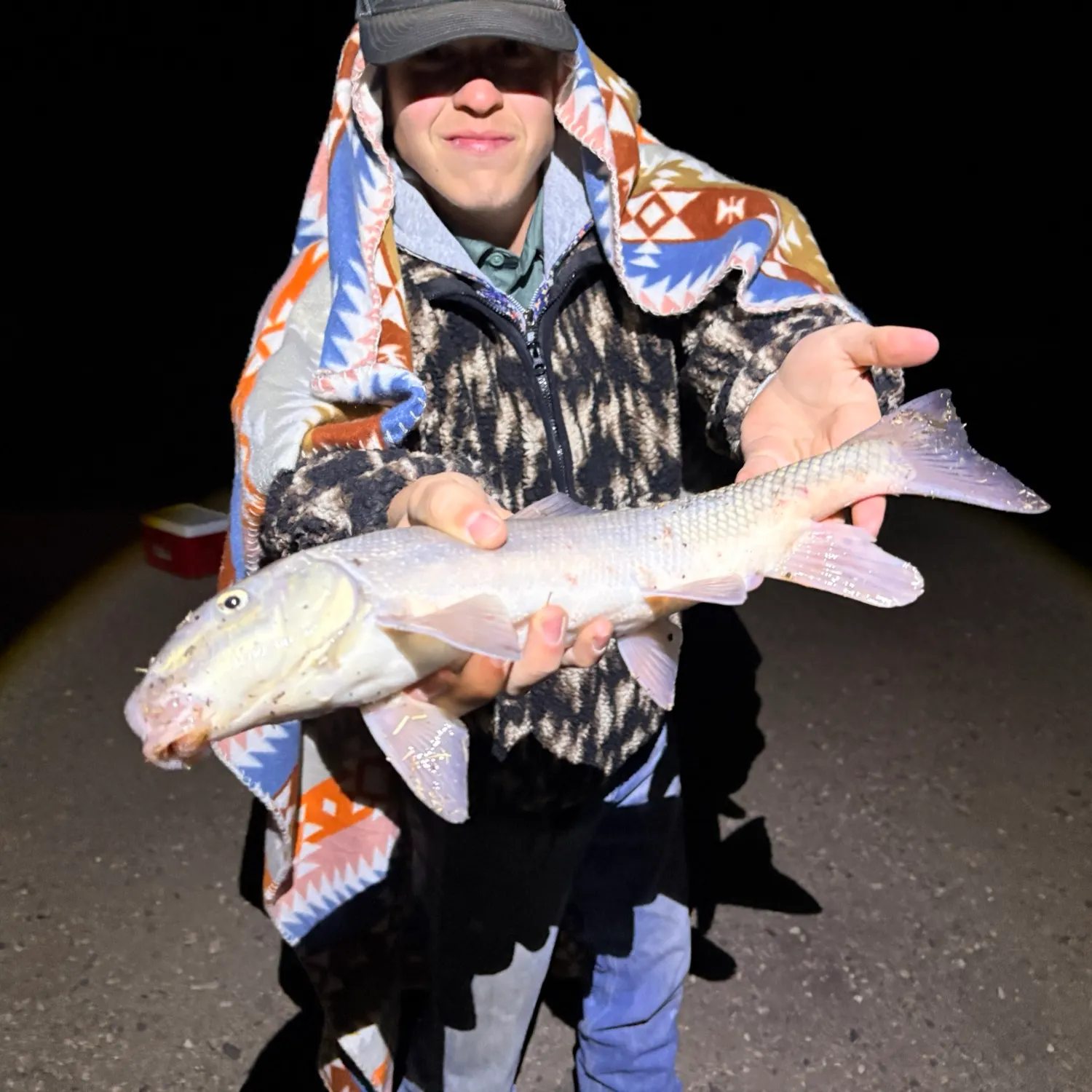 The most recent Largescale sucker catches on Fishbrain