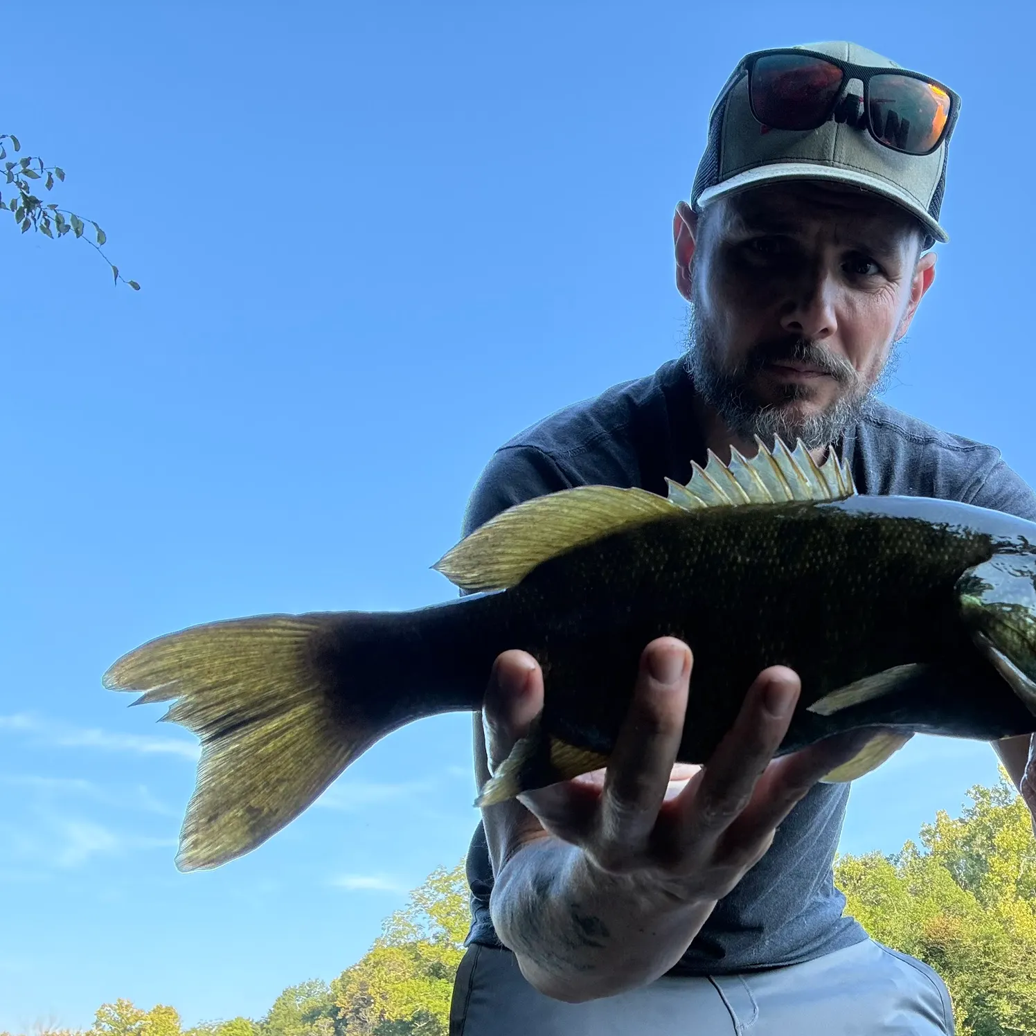Smallmouth bass caught on Fishbrain