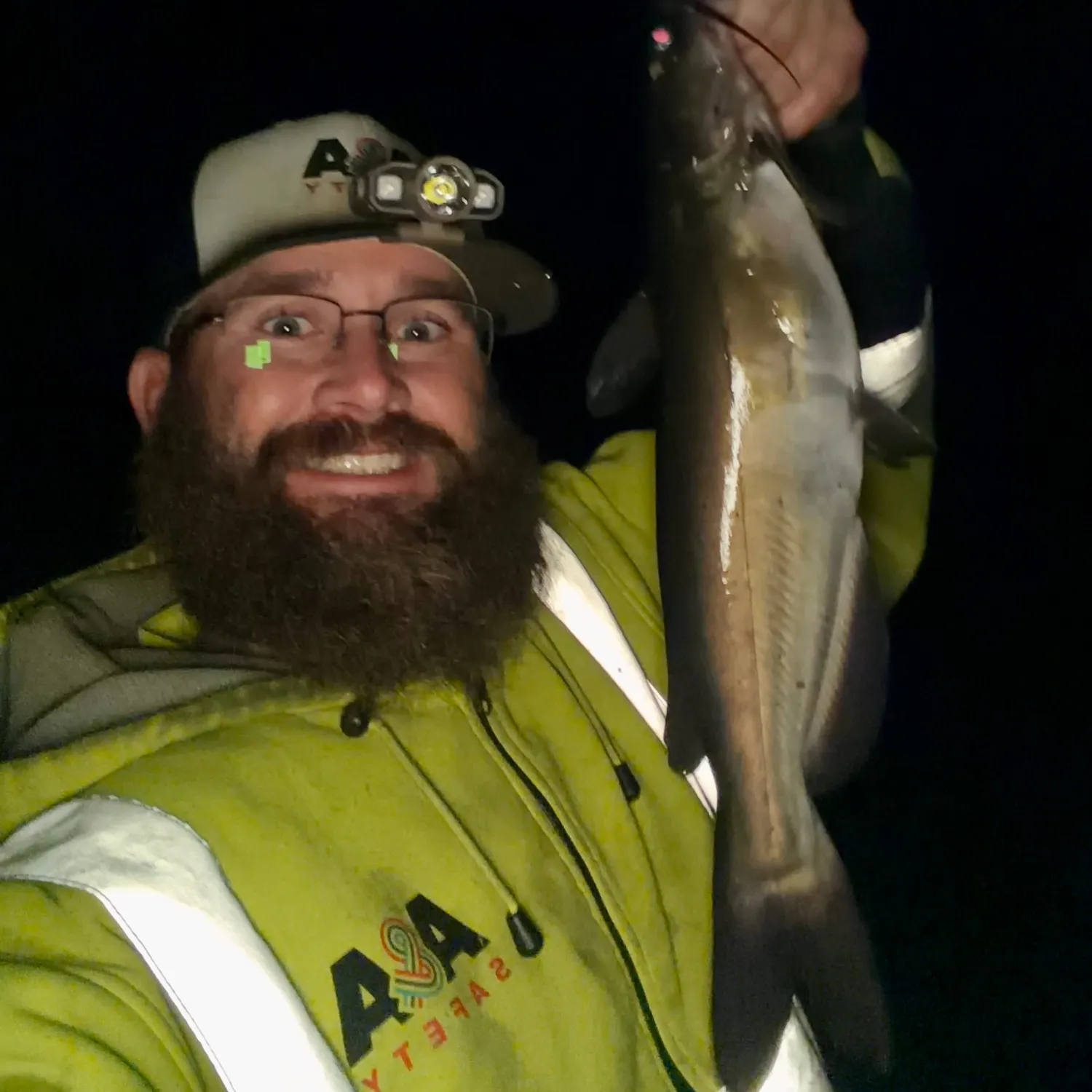 Channel catfish caught on Fishbrain