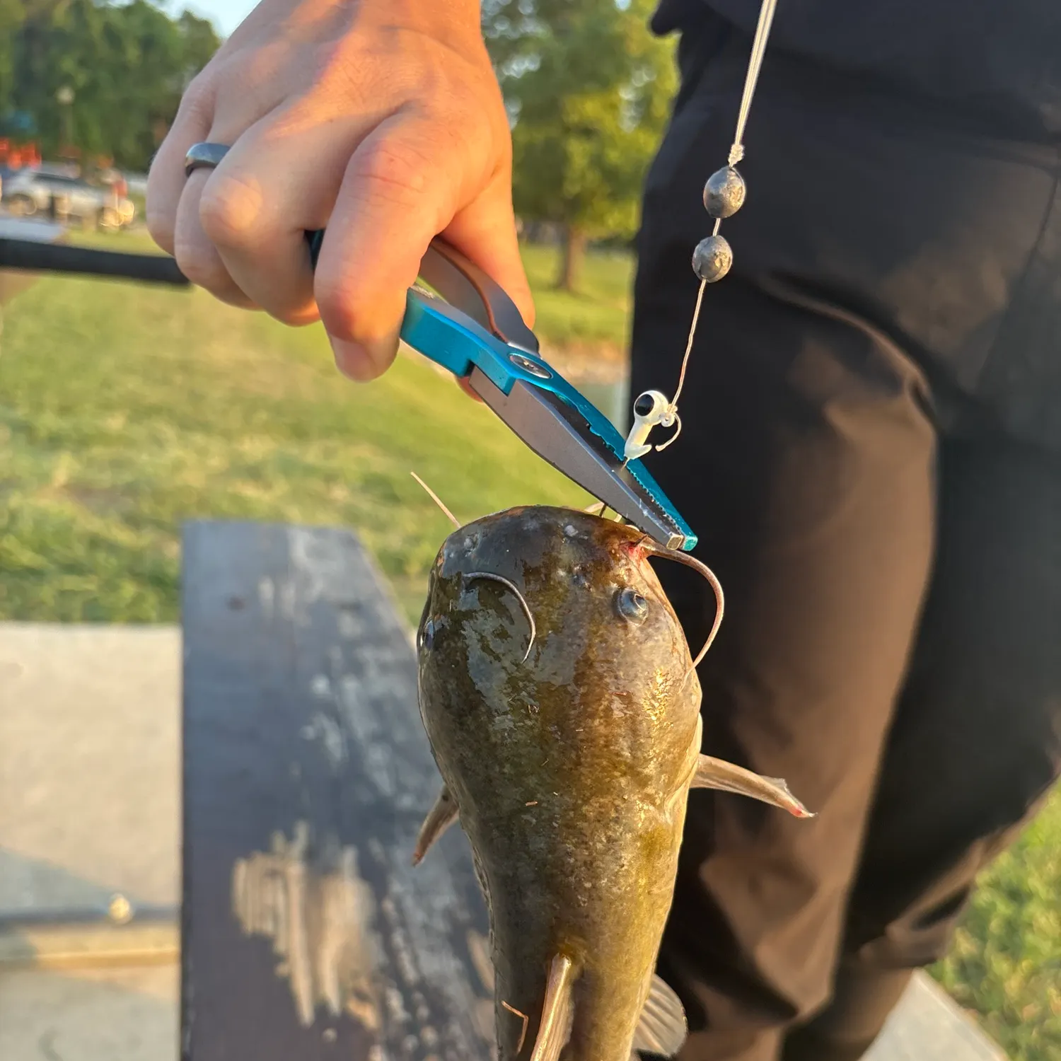 catch