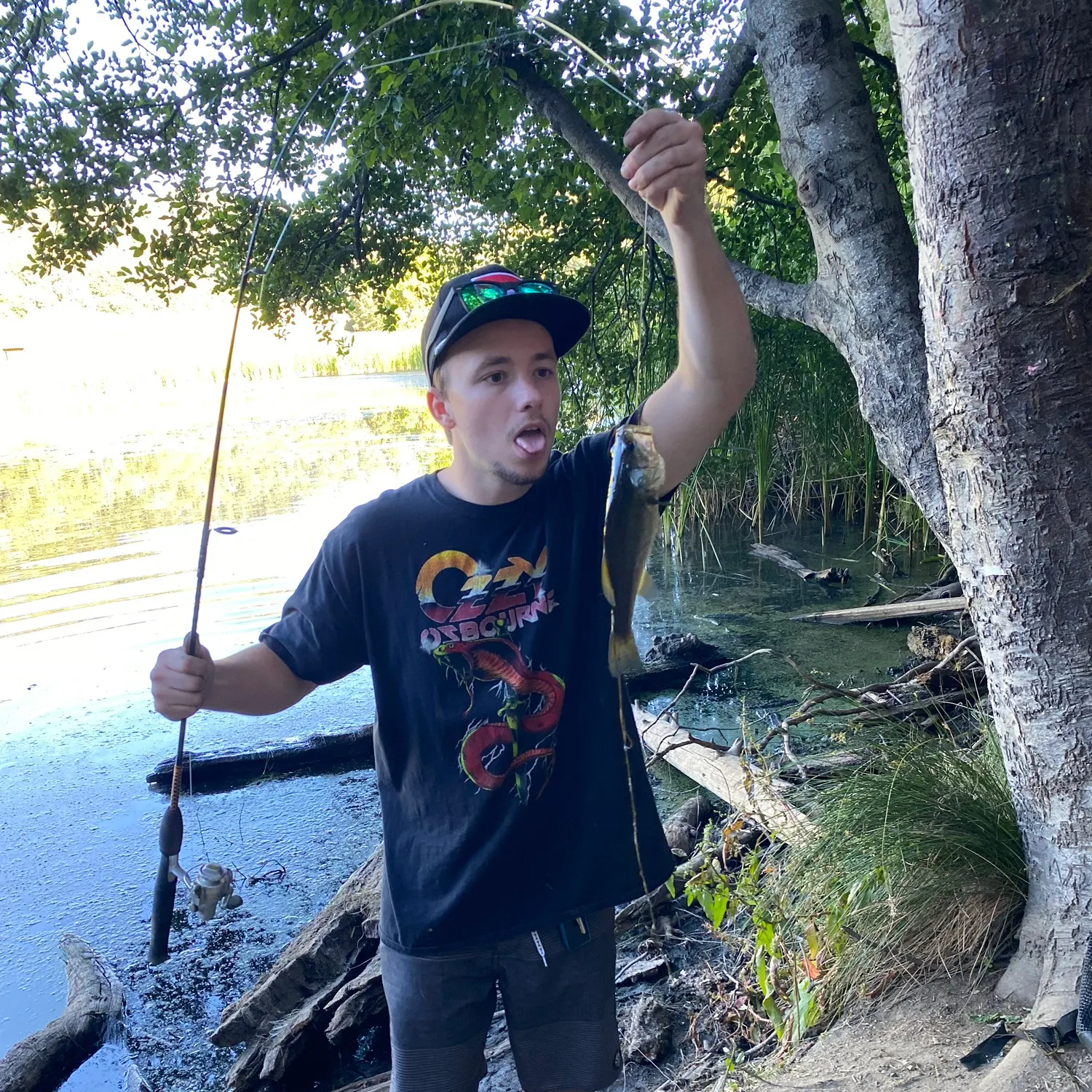 recently logged catches