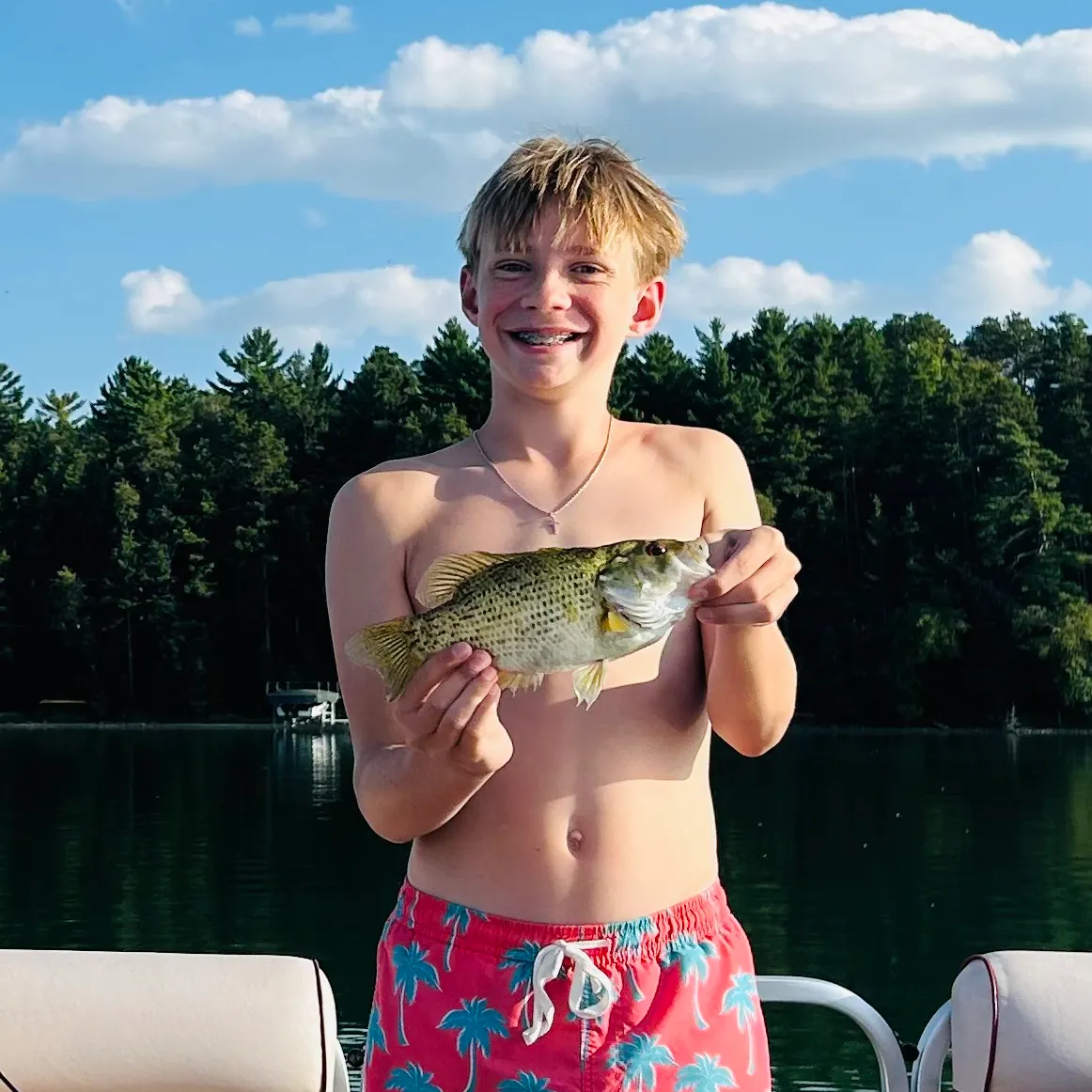Rock bass caught on Fishbrain
