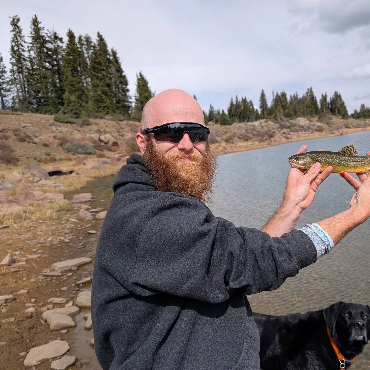 Brook trout caught on Fishbrain