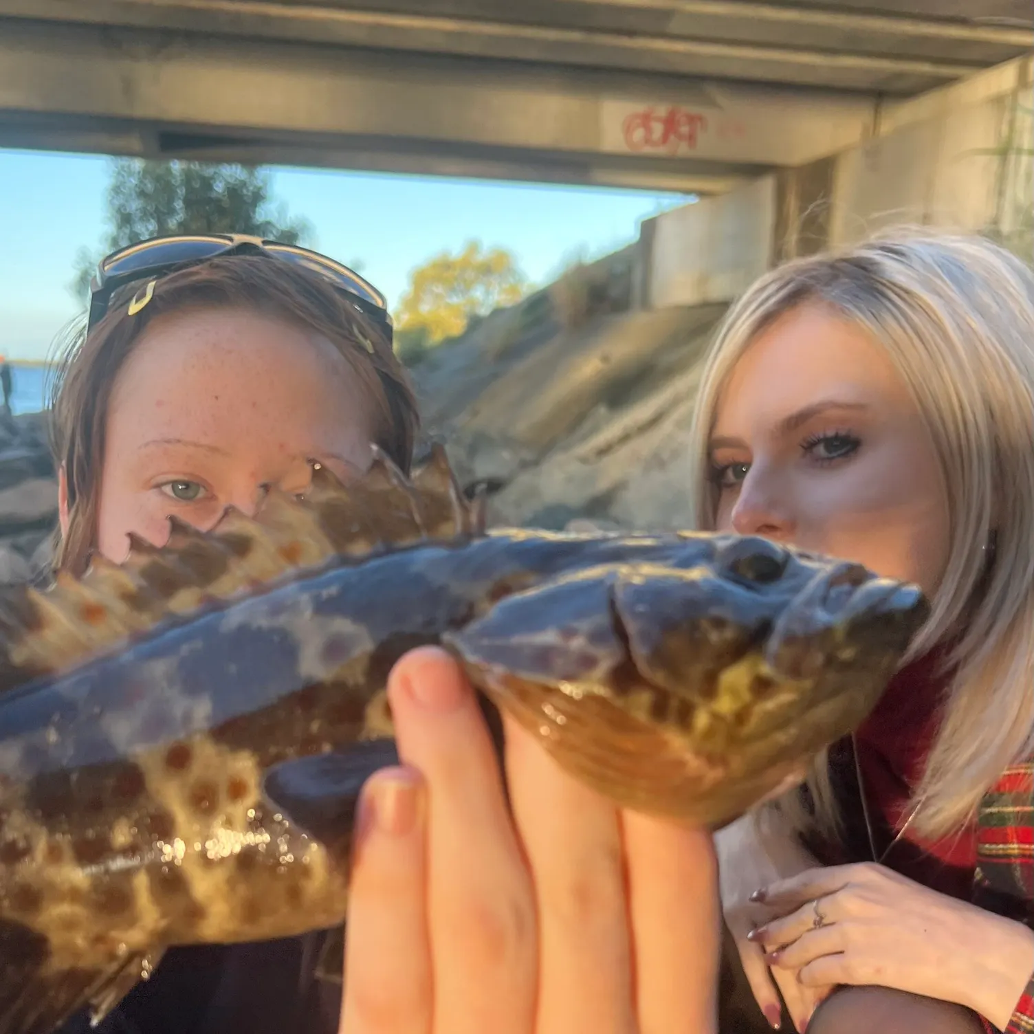 The most recent Orange-spotted grouper catches on Fishbrain