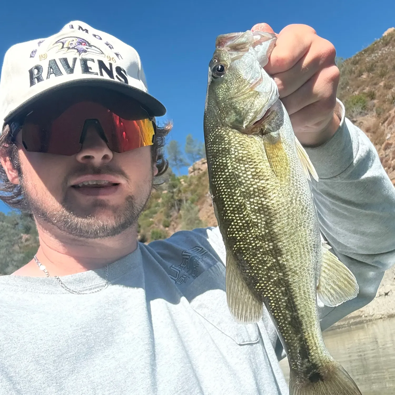 Spotted bass caught on Fishbrain