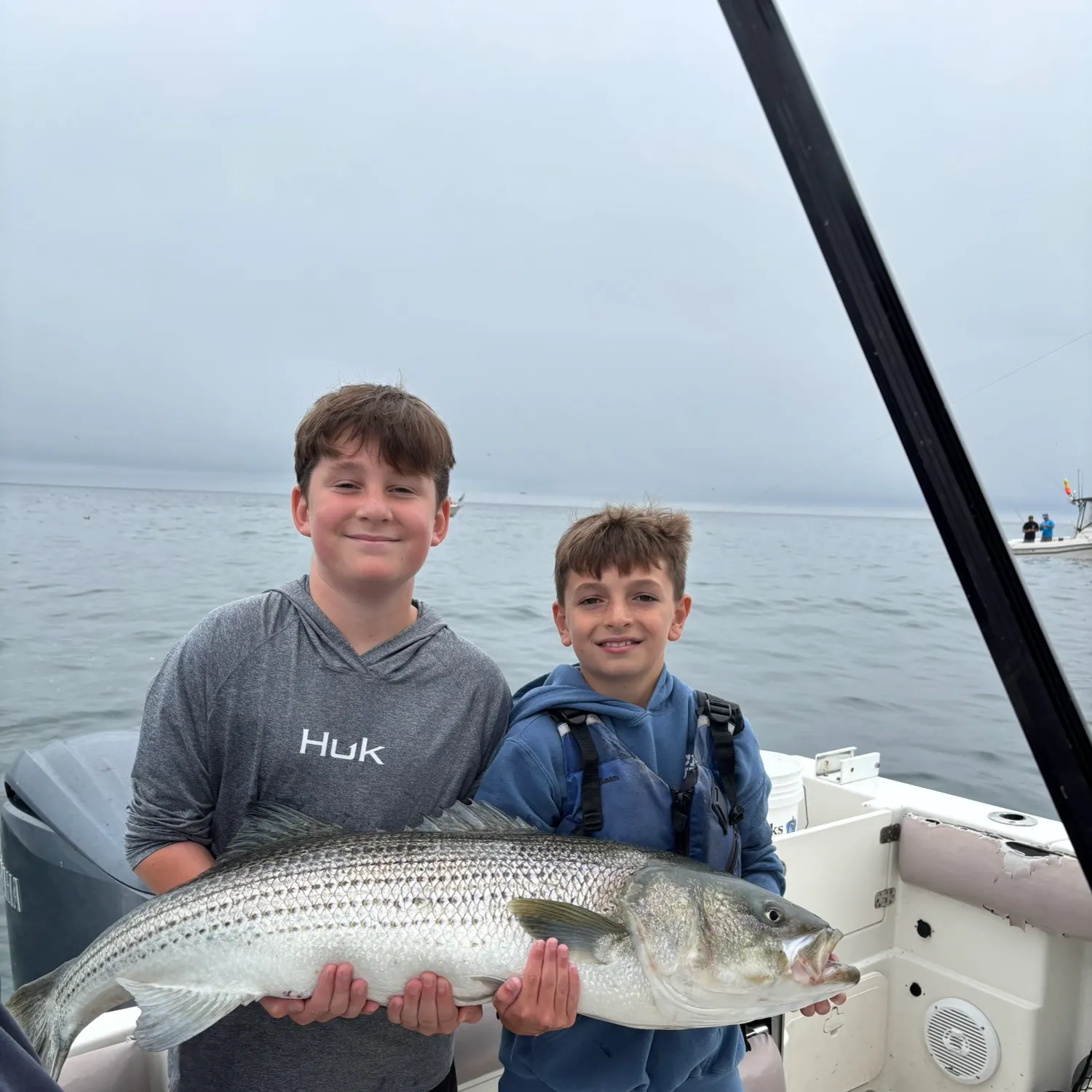 Striped bass caught on Fishbrain