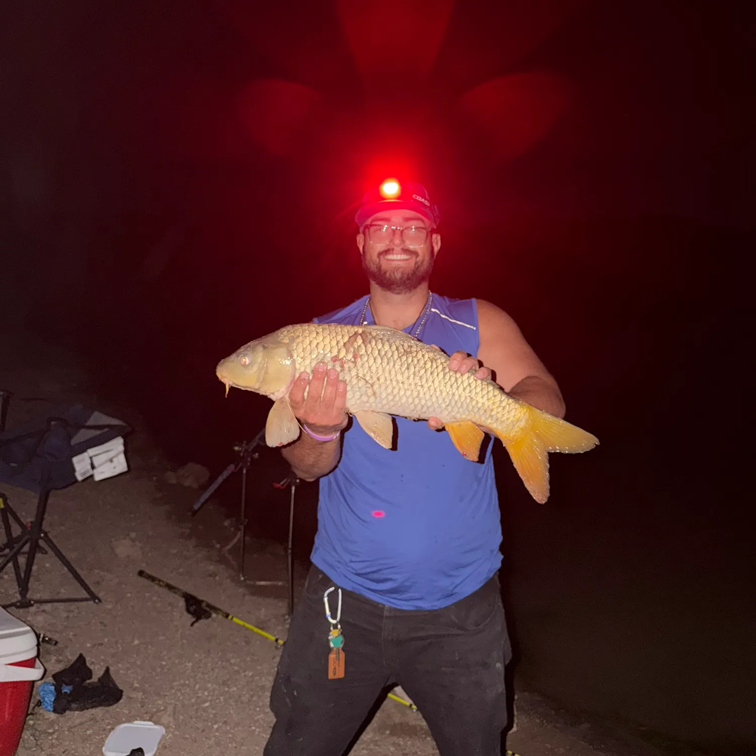 The most recent Ghost carp catches on Fishbrain