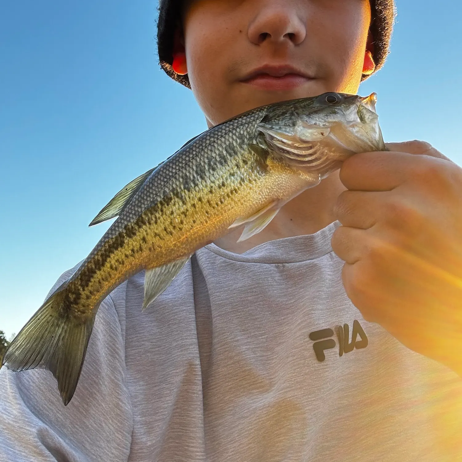Spotted bass caught on Fishbrain